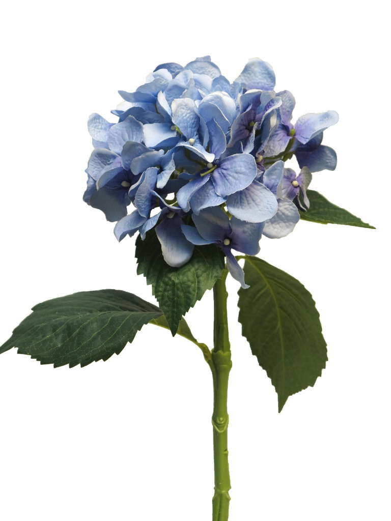 HORTENSIA, ART 48CM. BLEU