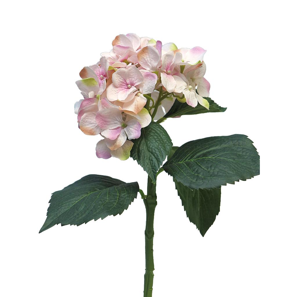 HORTENSIA, ART 48CM.ROSA ANT.