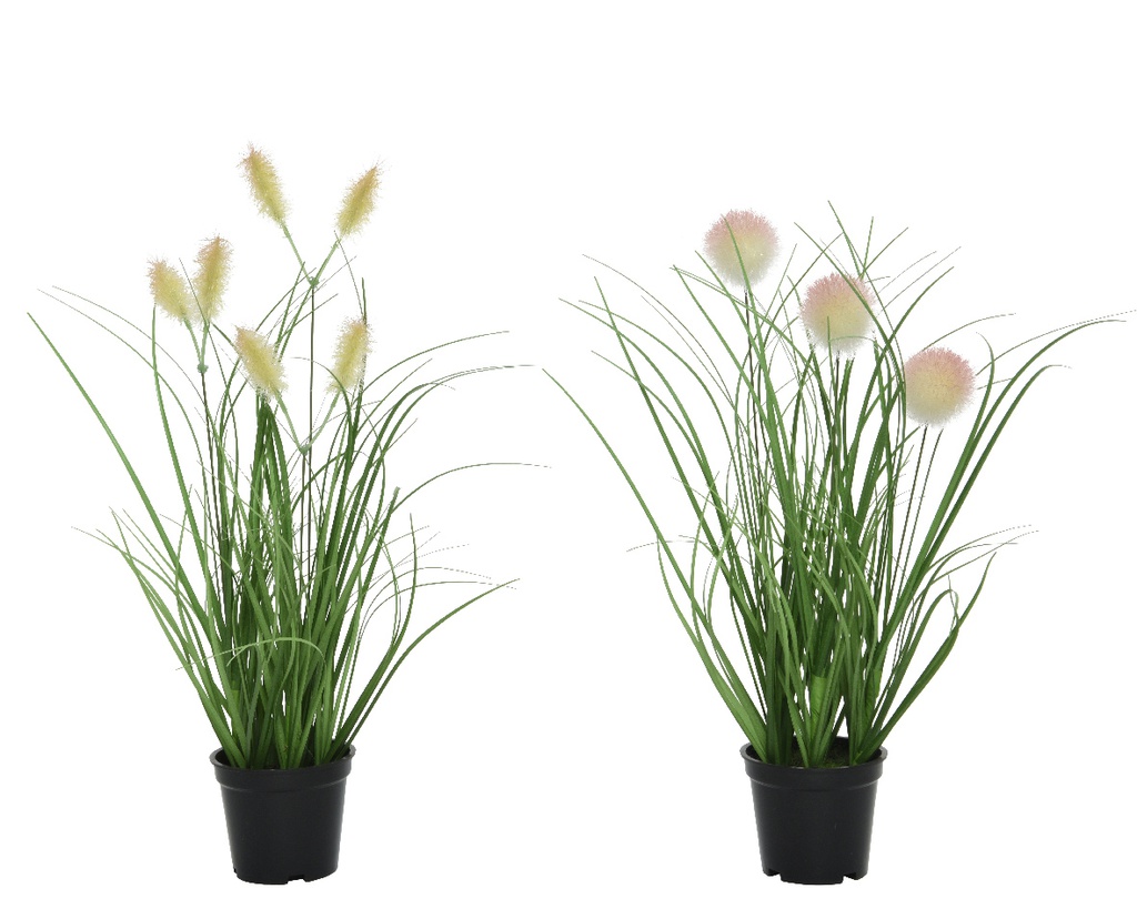 PLANTITA E/MACETA L15.00-W15.00-H30.00cm 2SURT PRECIO UD