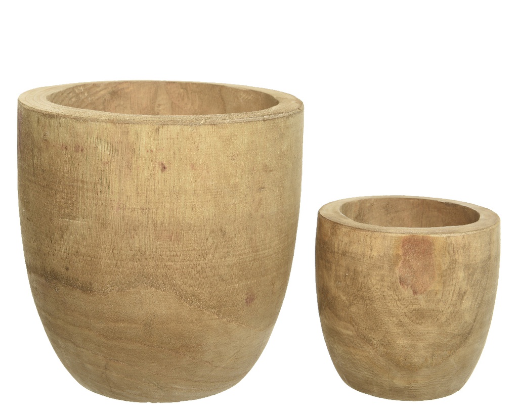 MACETA MADERA PAULONIA - SET DE 2