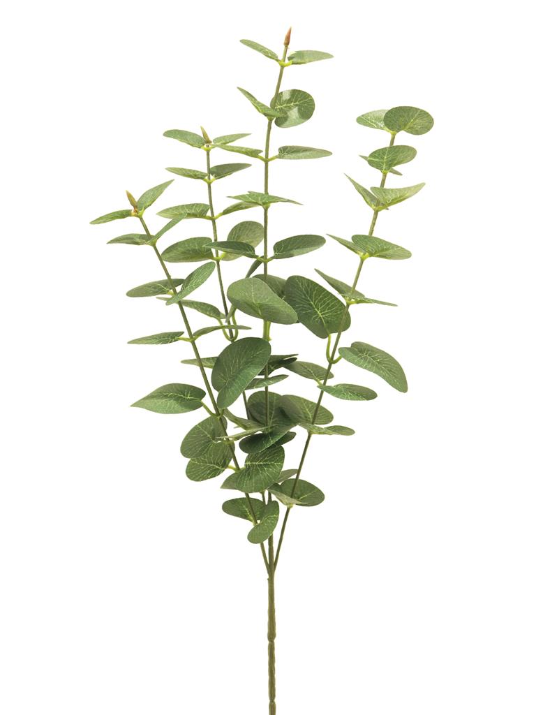 ***EUCALYPTUS JEWEL LVS GREEN 64CM