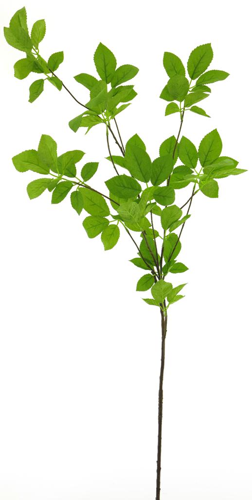 RAMA HOJA VERDE - 128CM - COMBINA CON TODO