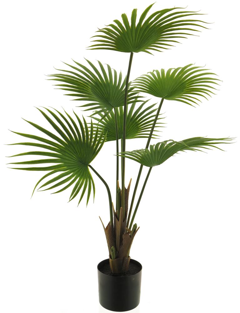 ***WASHINGTONIA PALM IN POT GREEN 96CM