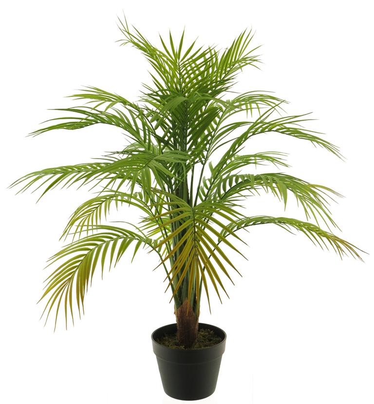 ***ARECA PALM IN POT GREEN 90CM