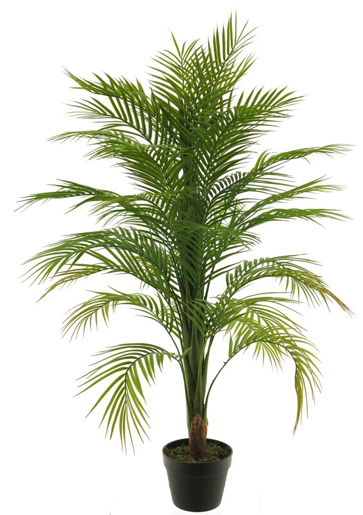 ***ARECA PALM IN POT GREEN 120CM