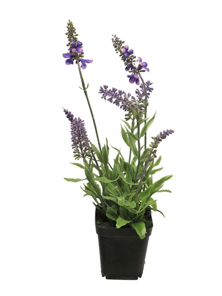 ***LAVENDER W/BLACK POT LAVENDER 34CM