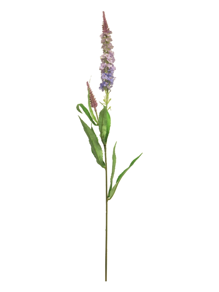 (Best) Veronica spray purple 76cm