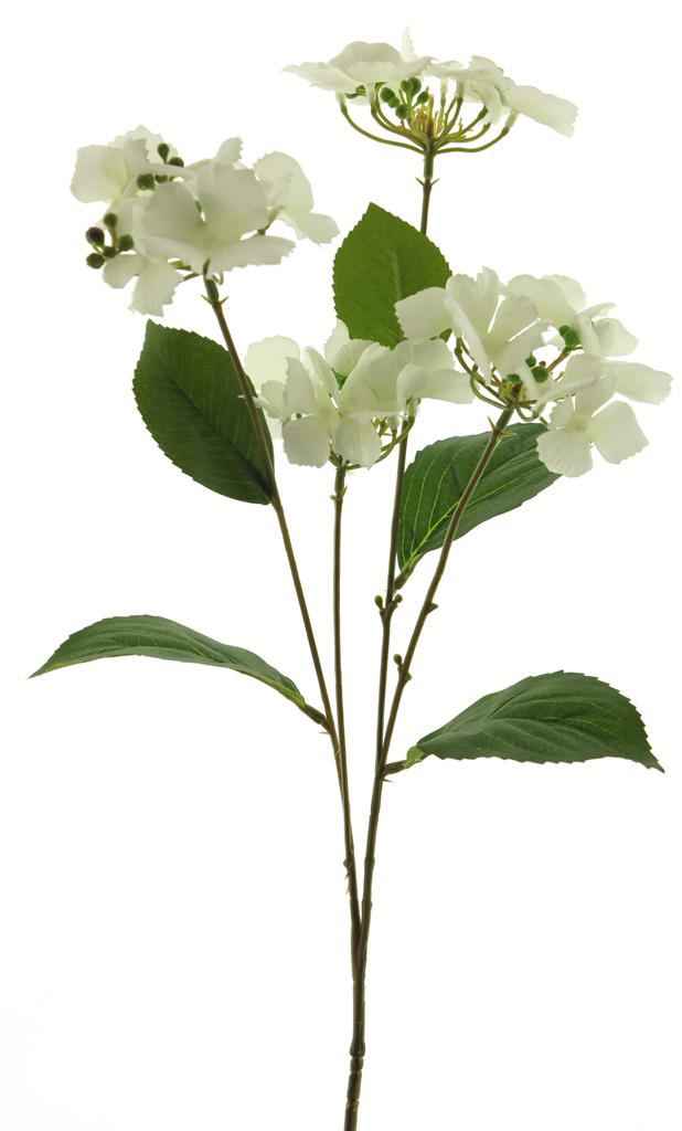 ***WILD HYDRANGEA SPRAY CREAM 69CM