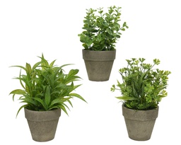 [4-800295] ***PLANT PLASTIC dia20-H25cm