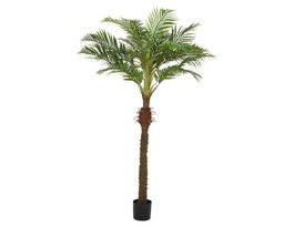 [4-804358] ***PALMTREE POLYESTER L110-W90-H230cm