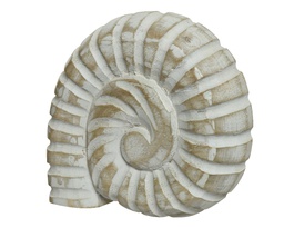 [4-831100] ***SHELL MANGOWOOD L17-W14-H4cm