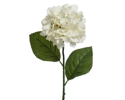 [4-800167] ***HYDRANGEA POLYESTER OFF-WHITE L17.00-W19.00-H66.00cm