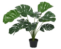 [4-803982] ***MONSTERA PE GREEN L60.00-W60.00-H66.00cm