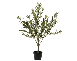 [4-808435] ***OLIVE TREE PE GREEN dia50.00-H100.00cm