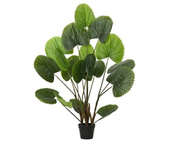 [4-808454] ***PLANT PE GREEN dia64.00-H120.00cm