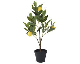 [4-808509] ***PLANT POLYESTER YELLOW/COLOUR(S) dia24.00-H60.00cm