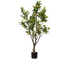 [4-808646] CITRONNIER EN POT - L60.00-W48.00-H130.00cm