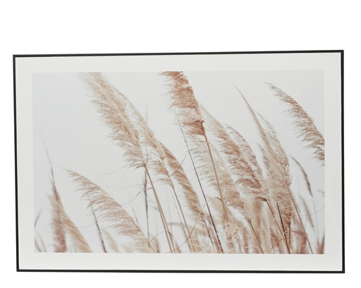 TABLEAU - PHOTO D'UNE HERBE NATURELLE - L60.00-W40.00-H2.50cm