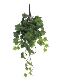 [12-31000-0] (Best) Ivy Chicago hanger M frosted 46cm (81 lvs)