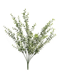 [12-31460-1] (Best) EUCALYPTUS BUISSON DE FEUILLES - LARGE - 43cm