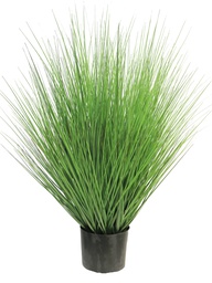 [12-51330-1] (Best) KING FETUQUE EN POT - VERT - 91cm