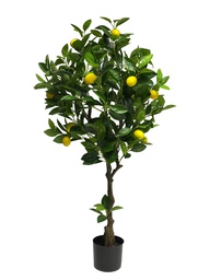 [12-60306-2] (Best) CITRONNIER - 120cm - (15 CITRONS JAUNE)