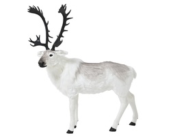 [4-720026] ***DEER PLASTIC 0 L150.00-W56.00-H177.00cm