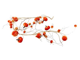 [DHG-383839914645] ***166CM PUMPKIN GARLAND SMALL