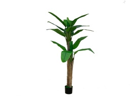 [DHG-088579] ARBOL BANANO EN MACETA - 160CM X 2