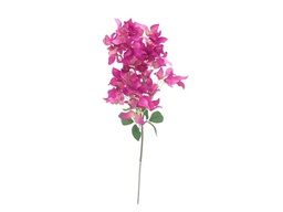 [DHG-383839962890] ***83CM BOUGAINVILLEA STEM