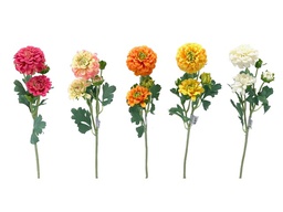 [DHG-383839911771] ***52CM RT DAHLIA 4FL 1BUD