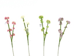 [DHG-383839916354] ***57CM RICE FLOWER SPRAY X 2