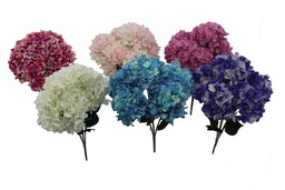 [DHG-074192] ***POINT HYDRANGEA BUSH X 6