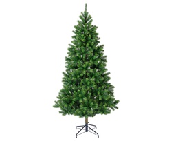 [4-684118] ***KENMORE FIR 0 dia165.00-H300.00cm