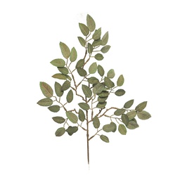 [12-89447-5] BRANCHE DE HETRE - VERT/GRIS - 51CM