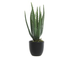 [4-800789] ALOE VERA PLASTIC DIA25-H35CM