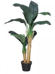 [12-51288-1] ALOCASIA CALIDORA VERDE 105CM (copia)