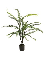 [12-51756-1] ***Fern tree in pot green 66cm