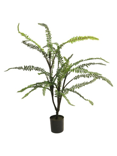 ***Fern tree in pot green 66cm