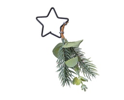 [4-687118] EUCALYPTUS NAPKIN RING W STAR DIA4-L15-H5CM