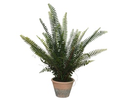 [4-804213] FERN PLASTIC DIA60-H60CM