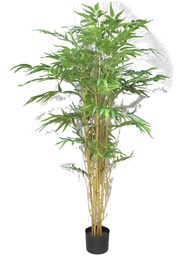 [12-60259-1] (Best) Bambusa Panda w/pot 150cm