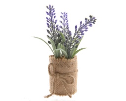 [4-800658] MINIPLANTA DE LAVANDA EN MACETA YUTE 12CM