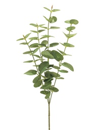 [12-32128-1] ***EUCALYPTUS JEWEL LVS GREEN 64CM