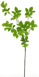 [12-32347-1] RAMA HOJA VERDE - 128CM - COMBINA CON TODO