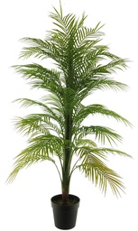 [12-51996-1] ***ARECA PALM IN POT GREEN 140CM