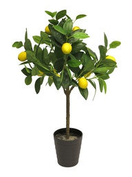 [12-60305-2] ***(BEST) LEMON TREE 70CM (12 LEMONS)